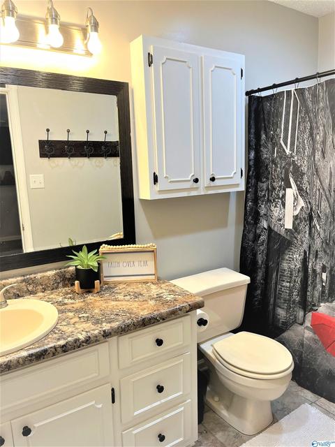 220 County Road 378, Trinity, AL 35673 photo 12