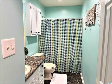 220 County Road 378, Trinity, AL 35673 photo 14