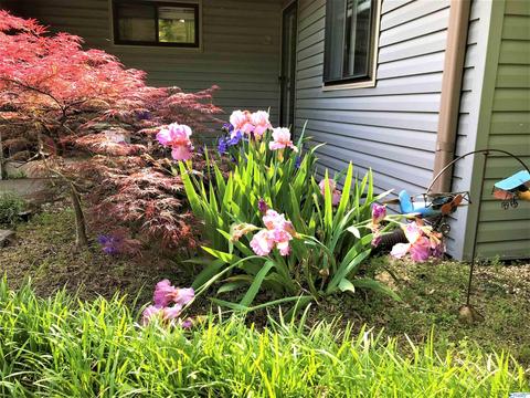 212 N Mountain Dr, Trinity, AL 35673 photo 18