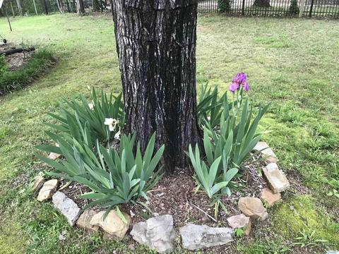 212 N Mountain Dr, Trinity, AL 35673 photo 17