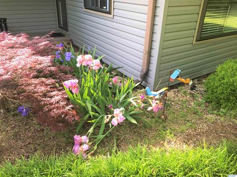 212 N Mountain Dr, Trinity, AL 35673 photo 19