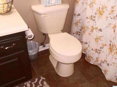 200 County Road 378, Trinity, AL 35673 photo 24