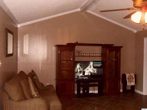 200 County Road 378, Trinity, AL 35673 photo 13