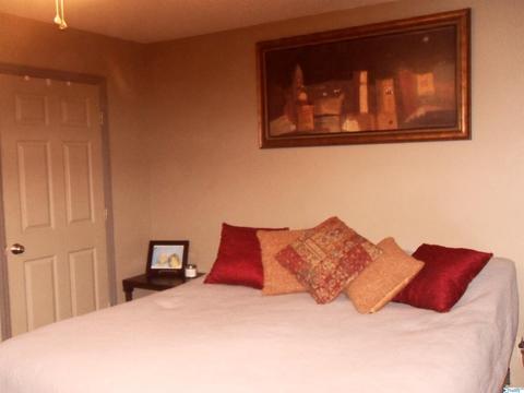 200 County Road 378, Trinity, AL 35673 photo 15