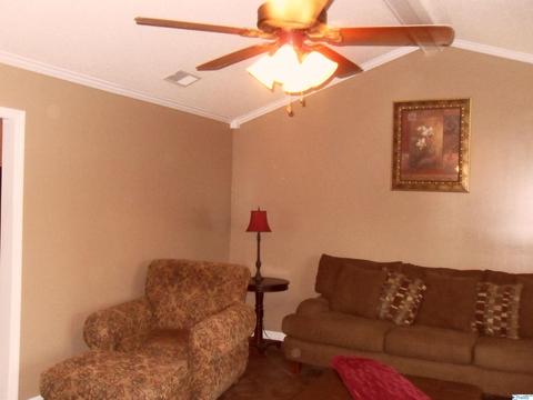 200 County Road 378, Trinity, AL 35673 photo 12