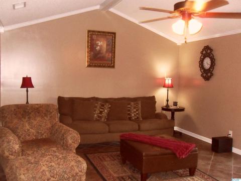 200 County Road 378, Trinity, AL 35673 photo 11