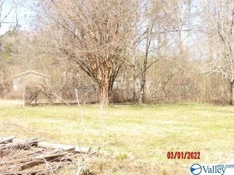 3640 Double Bridges Rd, Steele, AL 35987 photo 18