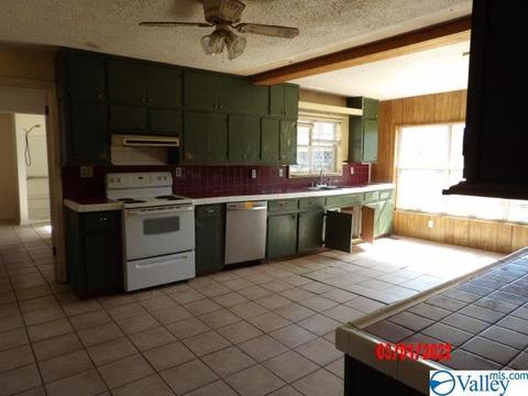 3640 Double Bridges Rd, Steele, AL 35987 photo 4
