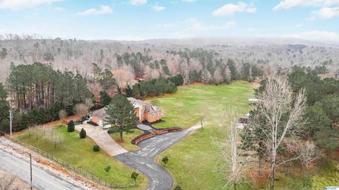 461 Cabbage Patch Rd, Laceys Spring, AL 35754 photo 49