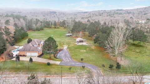 461 Cabbage Patch Rd, Laceys Spring, AL 35754 photo 48