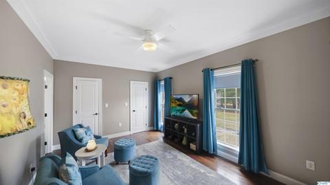 461 Cabbage Patch Rd, Laceys Spring, AL 35754 photo 31
