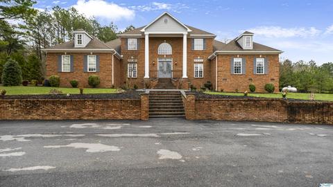 461 Cabbage Patch Rd, Laceys Spring, AL 35754 photo 4