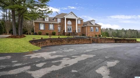 461 Cabbage Patch Rd, Laceys Spring, AL 35754 photo 5
