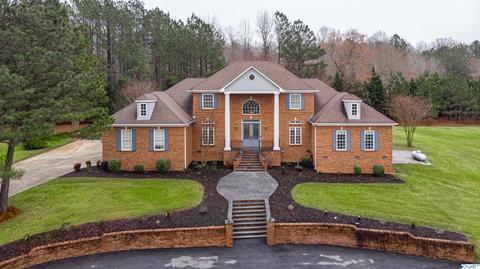 461 Cabbage Patch Rd, Laceys Spring, AL 35754 photo 1