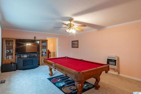 1429 County Road 352, Trinity, AL 35673 photo 11