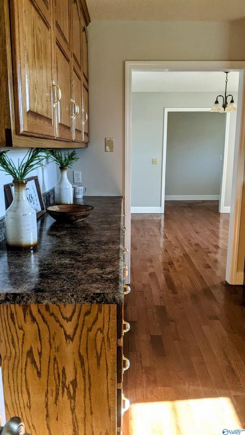 500 County Road 411, Section, AL 35771 photo 16