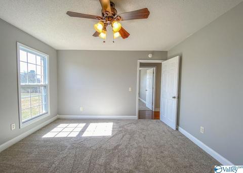 500 County Road 411, Section, AL 35771 photo 22