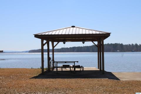 80 County Road 686, Cedar Bluff, AL 35959 photo 34