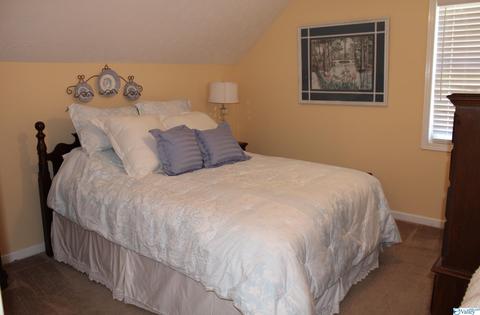 80 County Road 686, Cedar Bluff, AL 35959 photo 30