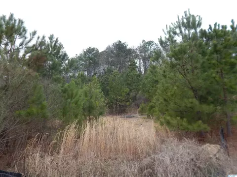 59 61 Acres Faith School Rd, Mc Calla, AL 35111
