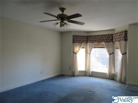 347 Moss View Rd, Section, AL 35771 photo 20