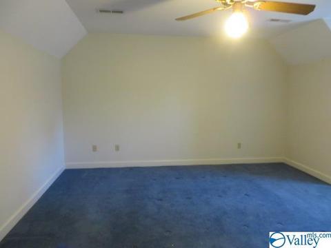 347 Moss View Rd, Section, AL 35771 photo 24