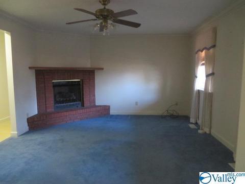 347 Moss View Rd, Section, AL 35771 photo 11