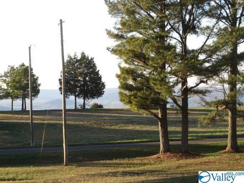 347 Moss View Rd, Section, AL 35771 photo 5