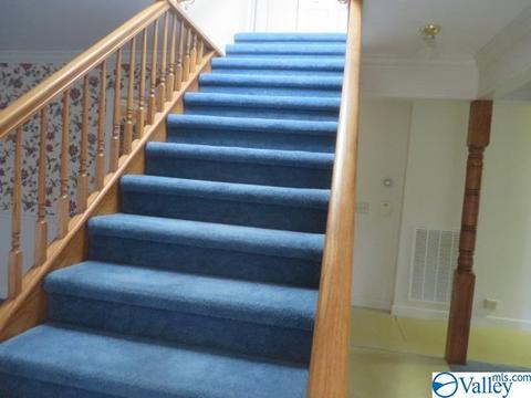 347 Moss View Rd, Section, AL 35771 photo 19