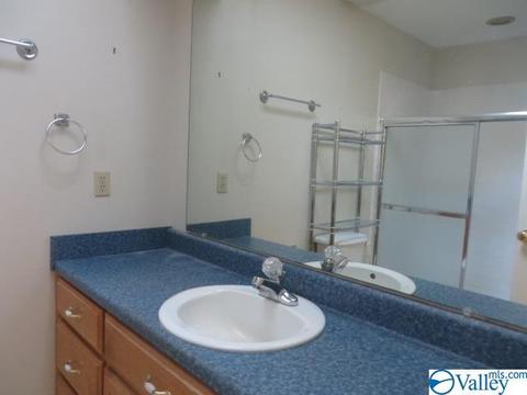 347 Moss View Rd, Section, AL 35771 photo 14