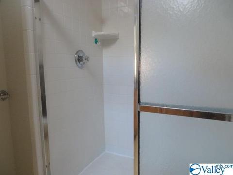 347 Moss View Rd, Section, AL 35771 photo 16