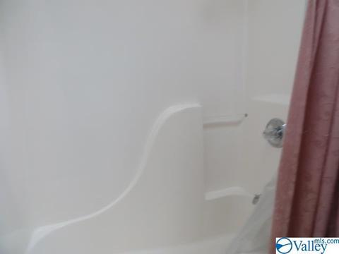 347 Moss View Rd, Section, AL 35771 photo 18
