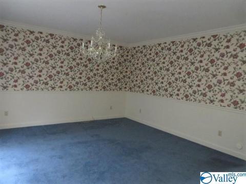 347 Moss View Rd, Section, AL 35771 photo 13