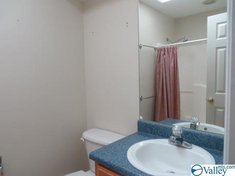 347 Moss View Rd, Section, AL 35771 photo 17