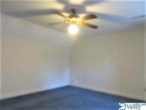 347 Moss View Rd, Section, AL 35771 photo 22
