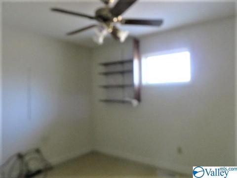 347 Moss View Rd, Section, AL 35771 photo 10