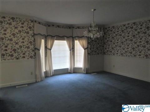 347 Moss View Rd, Section, AL 35771 photo 12