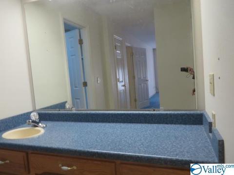 347 Moss View Rd, Section, AL 35771 photo 15