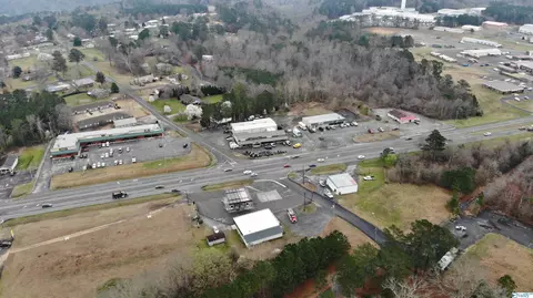 7009 J W Darnell Ave, Guntersville, AL 35976