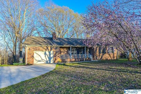 399 S Mountain Dr, Trinity, AL 35673 photo 2