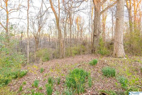 399 S Mountain Dr, Trinity, AL 35673 photo 22