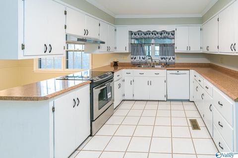 399 S Mountain Dr, Trinity, AL 35673 photo 4