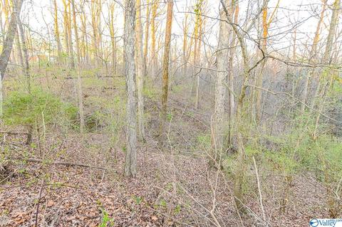 399 S Mountain Dr, Trinity, AL 35673 photo 21