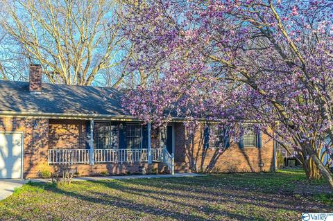 399 S Mountain Dr, Trinity, AL 35673 photo 23