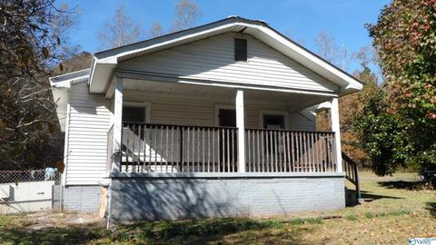 5699 Pope Ave, Steele, AL 35987 photo 1