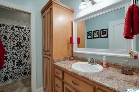 12545 Lookingbill Ln, Athens, AL 35611 photo 22