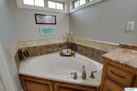 12545 Lookingbill Ln, Athens, AL 35611 photo 20