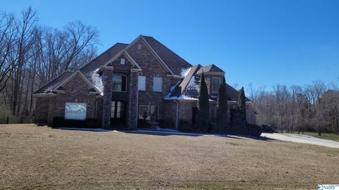 92 County Road 470, Trinity, AL 35673 photo 1