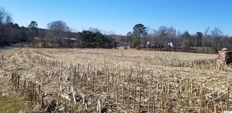 1787 County Road 62, Section, AL 35771 photo 11