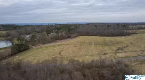 1787 County Road 62, Section, AL 35771 photo 1